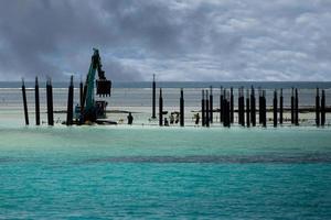 larv byggnad en tillflykt i tropisk paradis foto