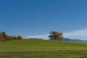 tuscany kullar runt om florens enorm antenn se landskap foto