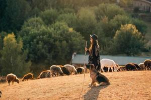 kvinna herde med en hund betar en flock på de gräsmatta foto