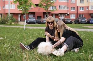 två rolig flickor är äter is grädde och spelar med en pomeranian hund. högtider foto