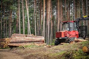 sanitär rengöring av de skog förbi röd traktor i de sommar skog med synlig träd loggar och fortfarande stående friska träd foto