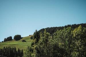 majestätisk bergen i de alps täckt med träd och moln foto