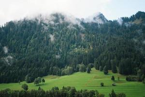 majestätisk bergen i de alps täckt med träd och moln foto