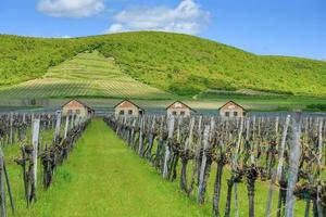 gammal hus i de vingård nära tokaj foto