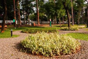 naturskön se av en trädgård landskap med Fantastisk växter och blommor. landskap i de offentlig parkera under en molnig himmel foto