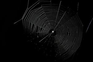 en webb vävd förbi en Spindel på en svart bakgrund. foto