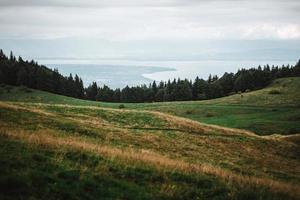 majestätisk bergen i de alps täckt med träd och moln foto