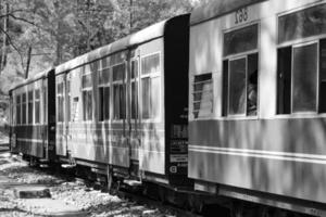 leksak tåg rör på sig på berg backe, skön se, 1 sida fjäll, 1 sida dal rör på sig på järnväg till de kulle, bland grön naturlig skog. leksak tåg från kalka till shimla i Indien-svart och vit foto