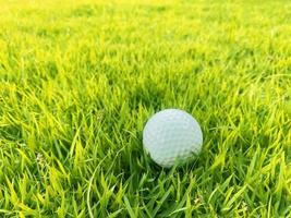 golf boll stänga upp på grön gräs på suddig skön landskap av golf kurs med soluppgång solnedgång tid på bakgrund.koncept internationell sport den där bero på precision Kompetens för hälsa avslappning. foto