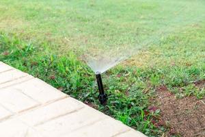 sprinkler i trädgård vattning de gräsmatta. automatisk vattning gräsmattor begrepp foto