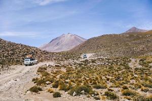 daliöknen i bolivia foto