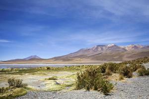 laguna colorada i bolivia foto