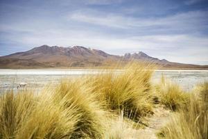 laguna hedionda i bolivia foto