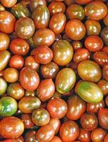 hög med tomater foto