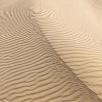 vacker sanddyn i tharöknen, jaisalmer, rajasthan, indien foto