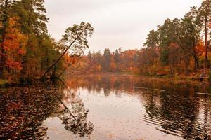 skön sjö i en skog med höst träd foto