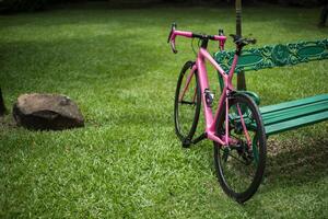 fri Foto rosa cykel lutande på parkera bänk