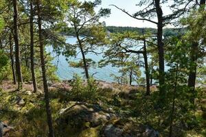 stockholm Sverige hav se från de skog foto