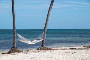 hängmatta på de strand mellan två handflatan träd foto