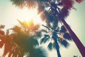 kokos handflatan träd på strand och solljus med årgång tonad effekt. foto