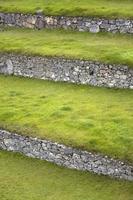 gröna terrasser i Peru