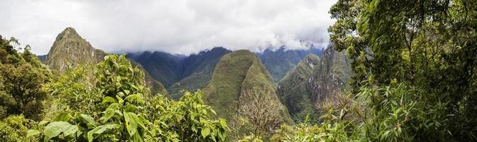 vildmarken i Peru foto