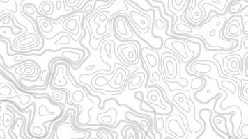 topografisk bakgrund och textur. abstraktion med plats för text. topo bakgrund rader, kontur, geografisk rutnät. modern svart och vit topografisk konturer rader av berg. topografi Karta konst foto