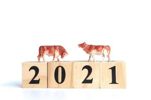 liten oxe och träklossar med siffror 2021 isolerad på en vit bakgrund, en symbol för år 2021 foto