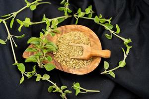 oregano origanum vulgär utsökt kök örter foto