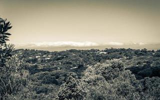 panoramautsikt över Kapstaden och naturen, Kirstenbosch. foto