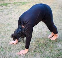ung indisk kvinna praktiserande yoga utomhus- i en parkera. skön flicka öva grundläggande yoga utgör. stillhet och koppla av, kvinna lycka. grundläggande yoga poser utomhus- foto