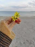 blommor i de flickans hand mot de bakgrund av de hav strand foto