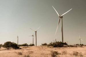 vindkraftverk i lantlig miljö