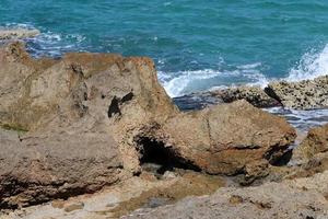 Medelhavets steniga kust i norra Israel. foto