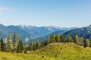 idyllisk landskap i de alps med färsk grön ängar, blomning blommor, typisk bondgårdar och snötäckt berg blast i de bakgrund, nationalpark berchtesgadener landa, Bayern, Tyskland foto