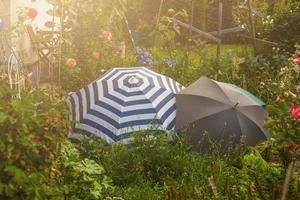 utomhus- paraplyer lögn i de trädgård och skydda de blommor foto