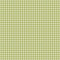 sömlös mönster gingham foto