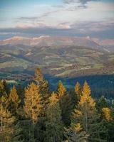 swiss berg landskap med barr- träd som förgrund foto