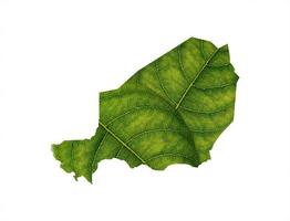 niger Karta tillverkad av grön löv på jord bakgrund ekologi begrepp foto