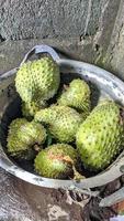 färsk grön soursop frukt foto