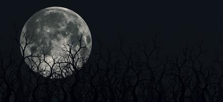 spöklika 3d-illustrationer av panoramaberg, träd och månen foto