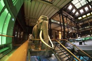 paris, Frankrike - november 18 2021 - Evolution Galleri museum av naturlig historia grande galerie de l'evolution foto