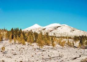 natursköna bergslandskap foto