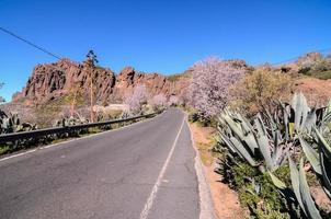 naturskön landskap på teneriffa, kanariefågel öar, Spanien foto