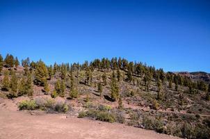 naturskön landskap på teneriffa, kanariefågel öar, Spanien foto