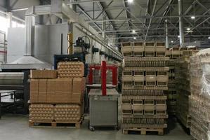 lagring lager med förpackade varor på trä- lastpall på återvinna papper fabrik. förberedelse sändning av Produkter. logistik, transport och distribution anläggning för leverans. tillförsel kedja frakt foto