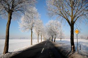 vinter- tid i Tyskland foto