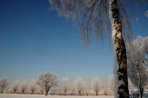 vinter- tid i Westfalen foto