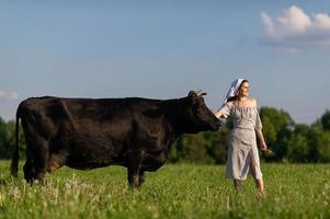 en ung flicka i en ko bete står i en klänning och en sjalett , strök en ko foto