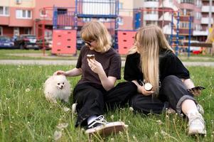 två rolig flickor är äter is grädde och spelar med en pomeranian hund. högtider foto